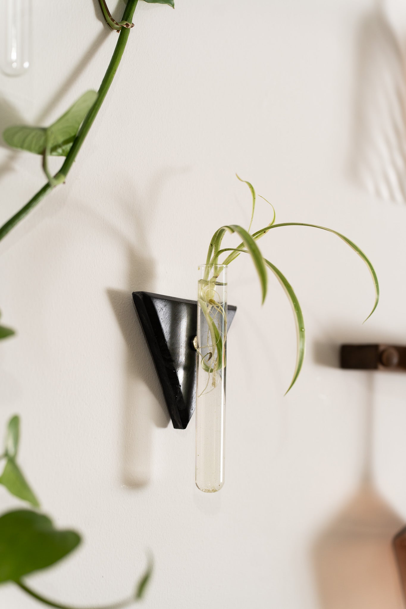 Propagation Station | Black Marble