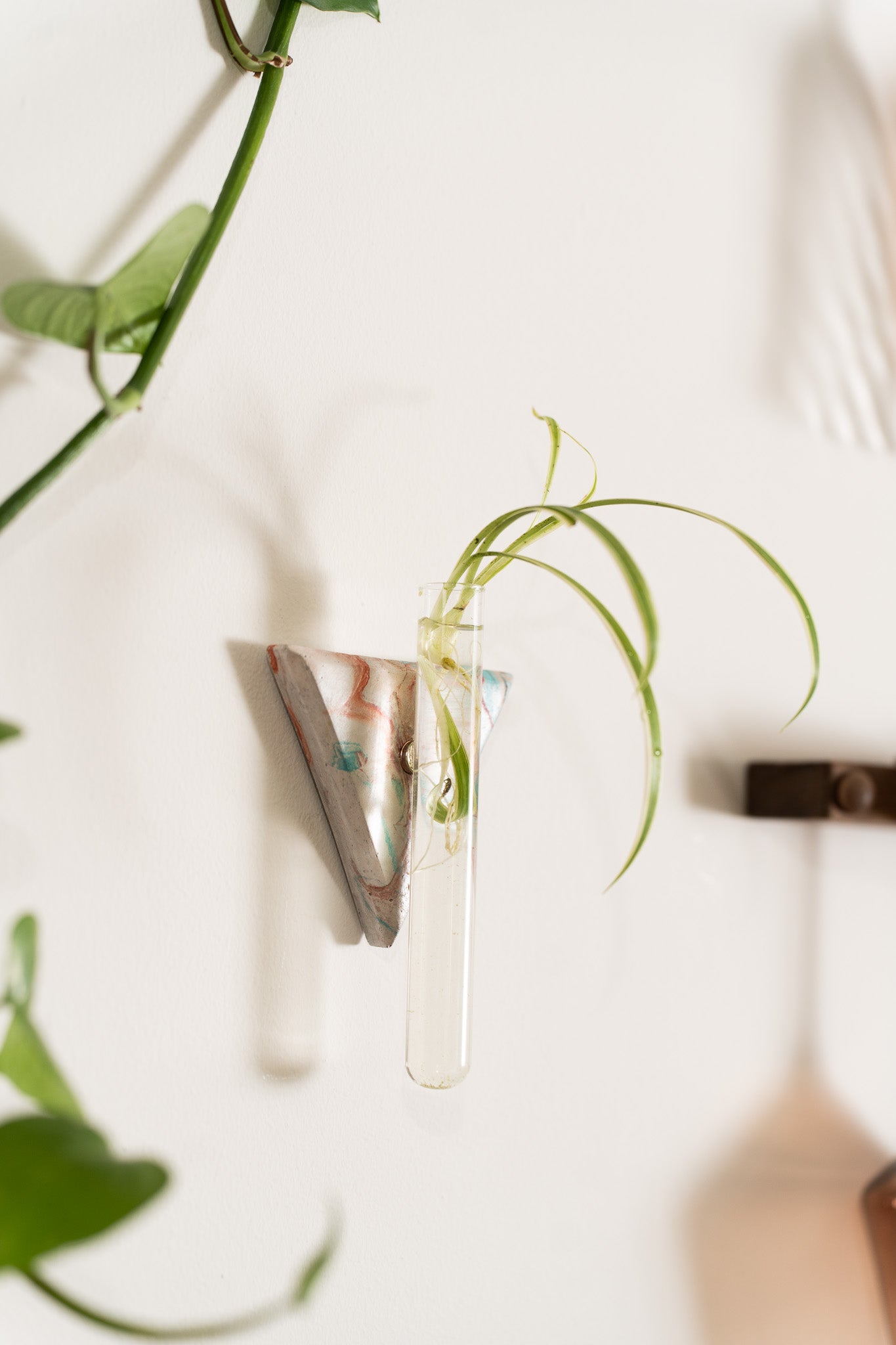 Propagation Station | Fall Specialty Marble