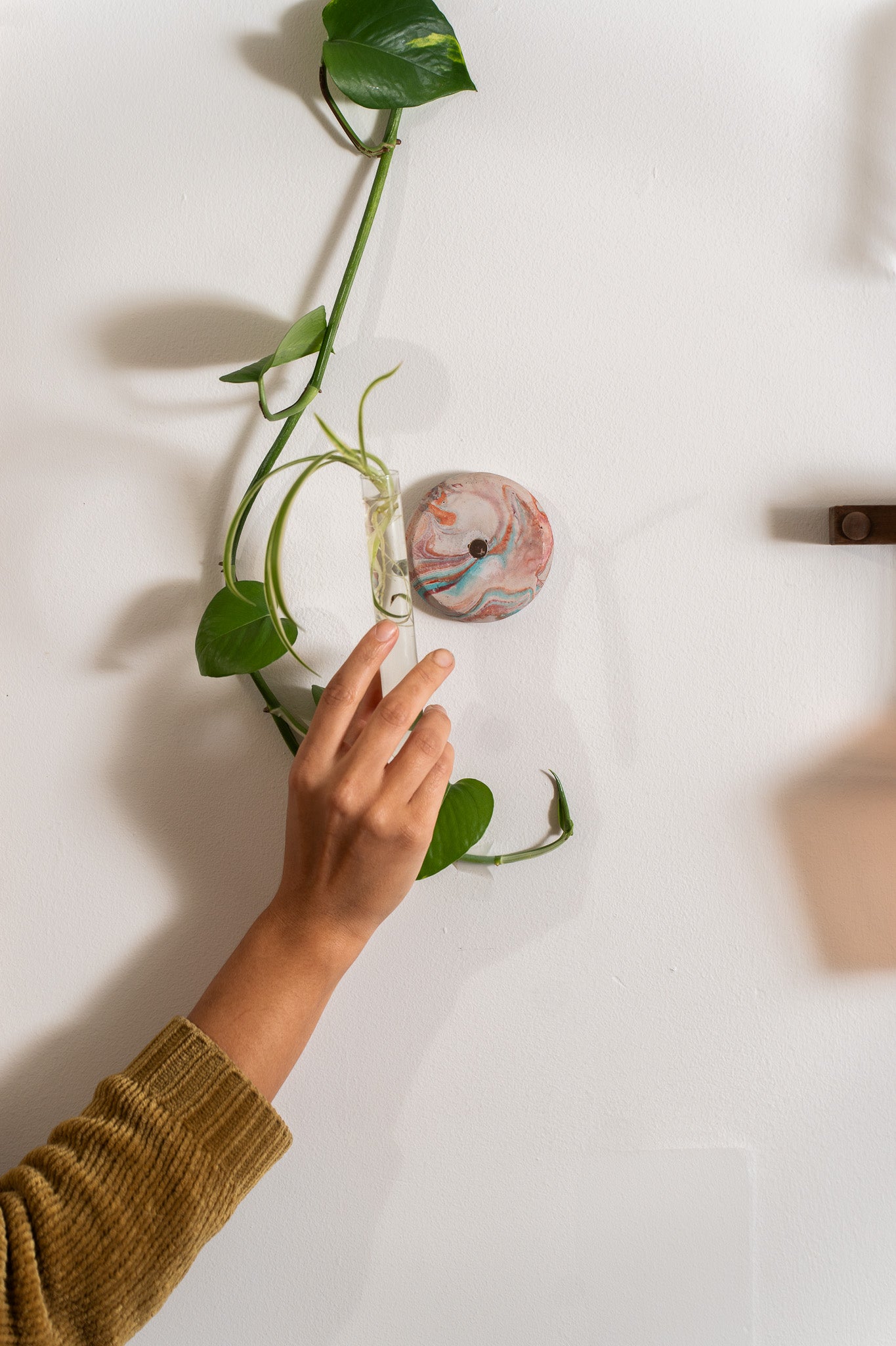 Propagation Station Cement Acrylic Marble Wall Decor 