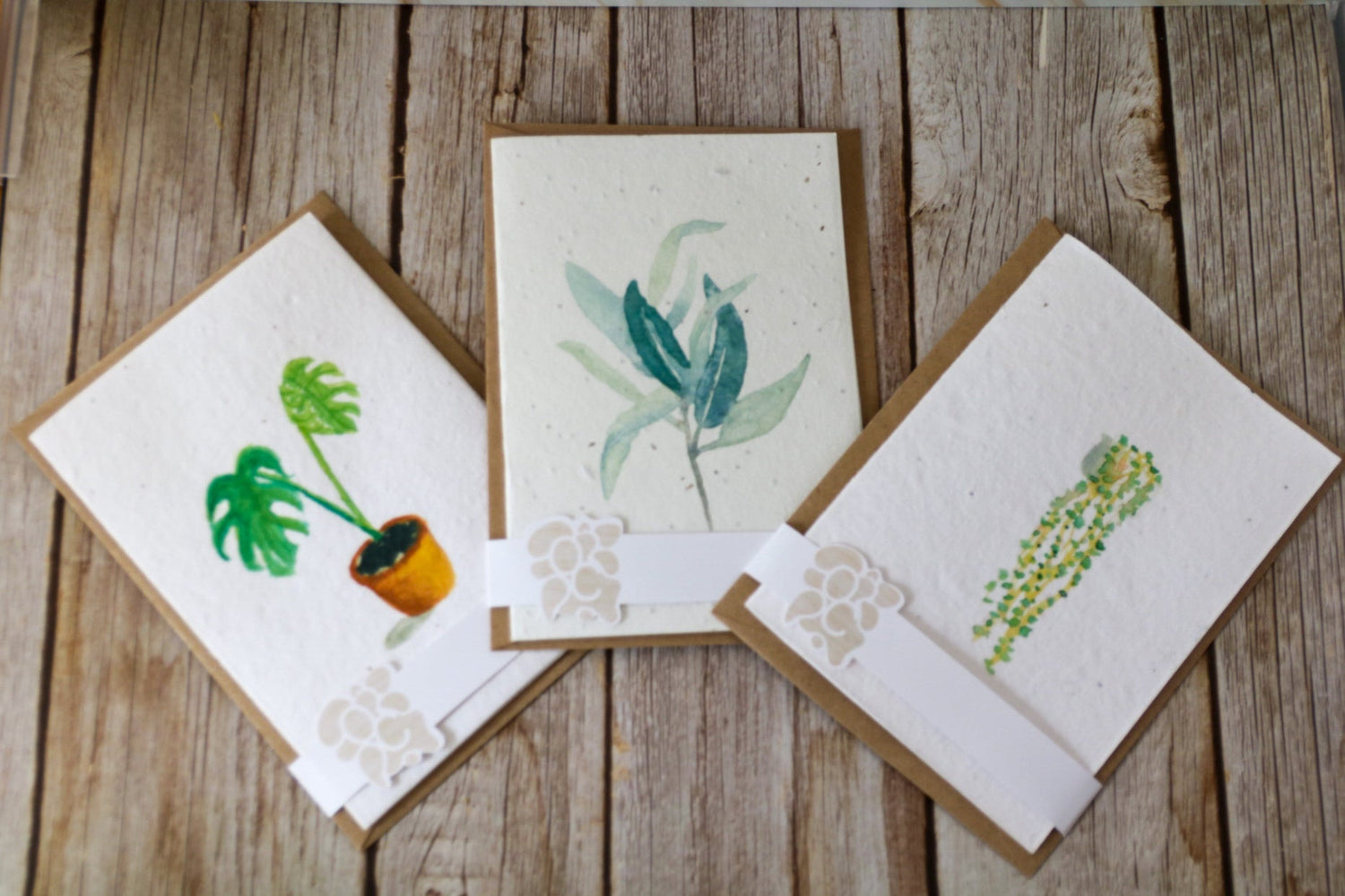 Plantable Greeting Cards