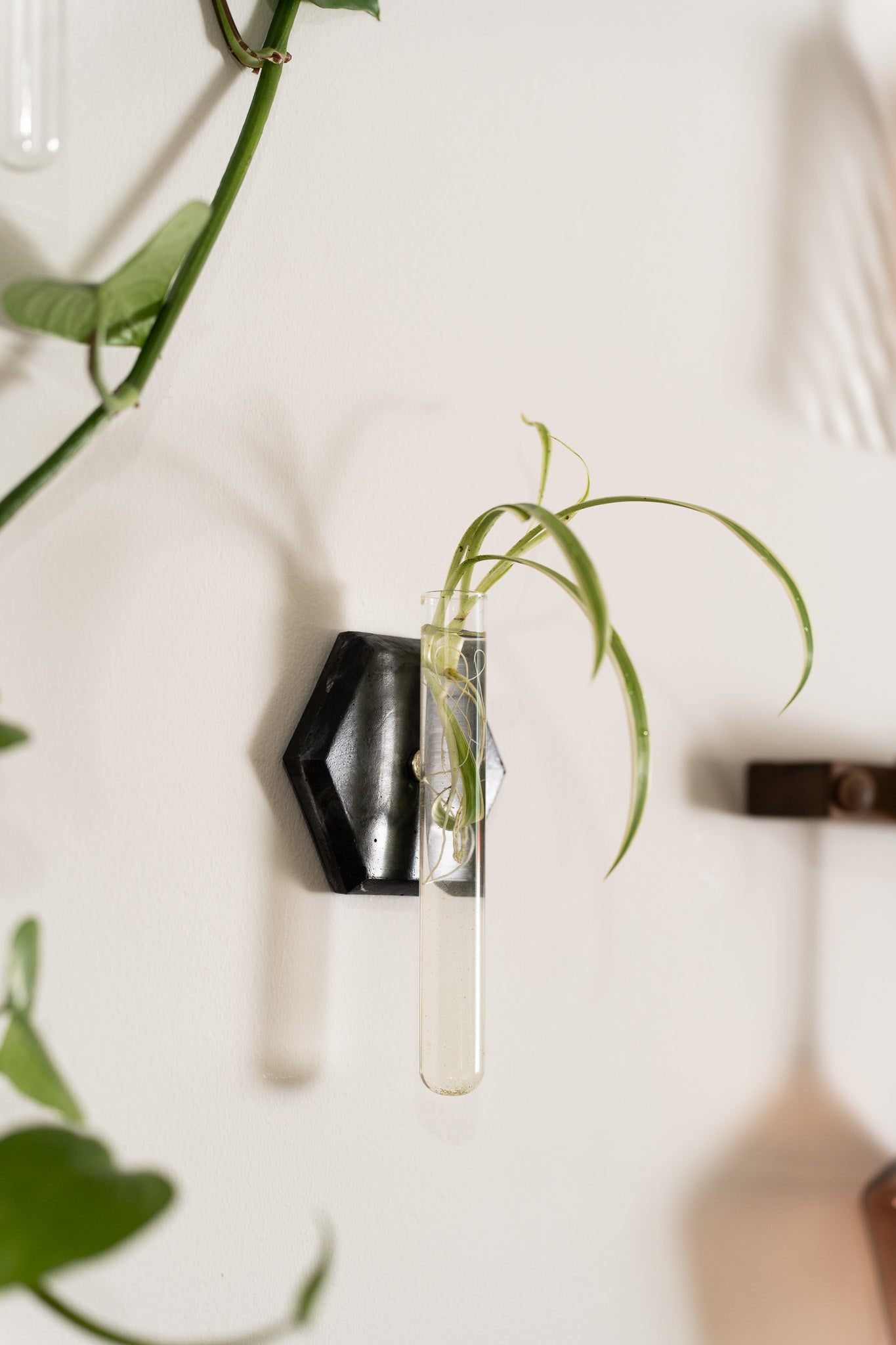 Propagation Station | Black Marble