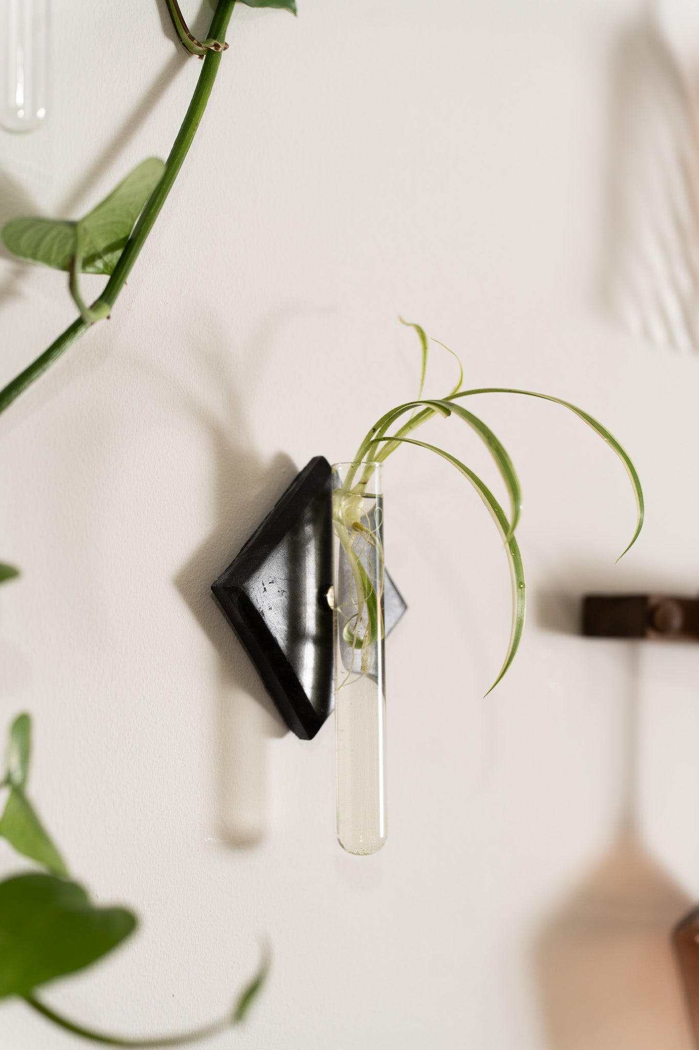 Propagation Station | Black Marble
