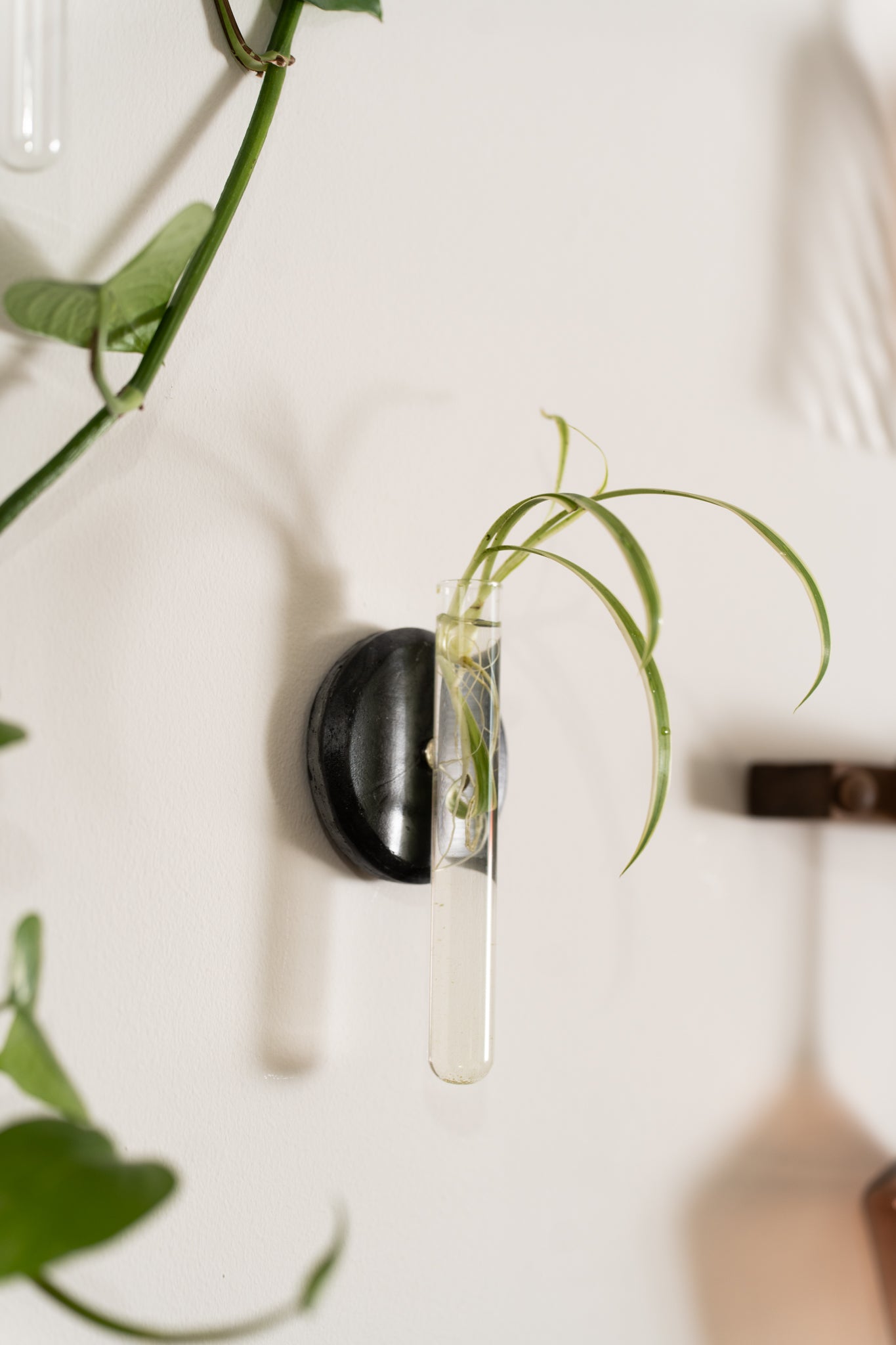 Propagation Station | Black Marble