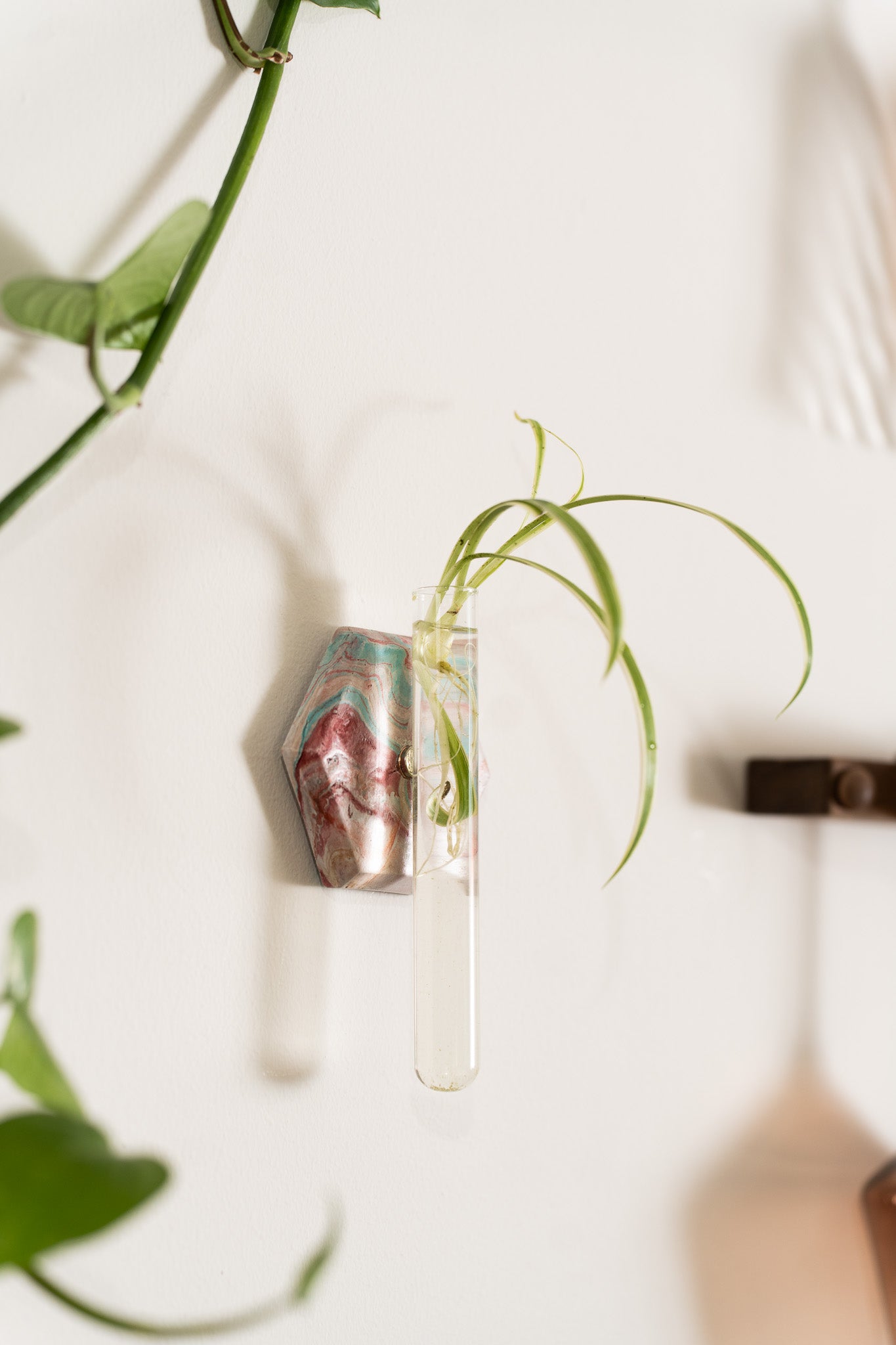 Propagation Station | Fall Specialty Marble