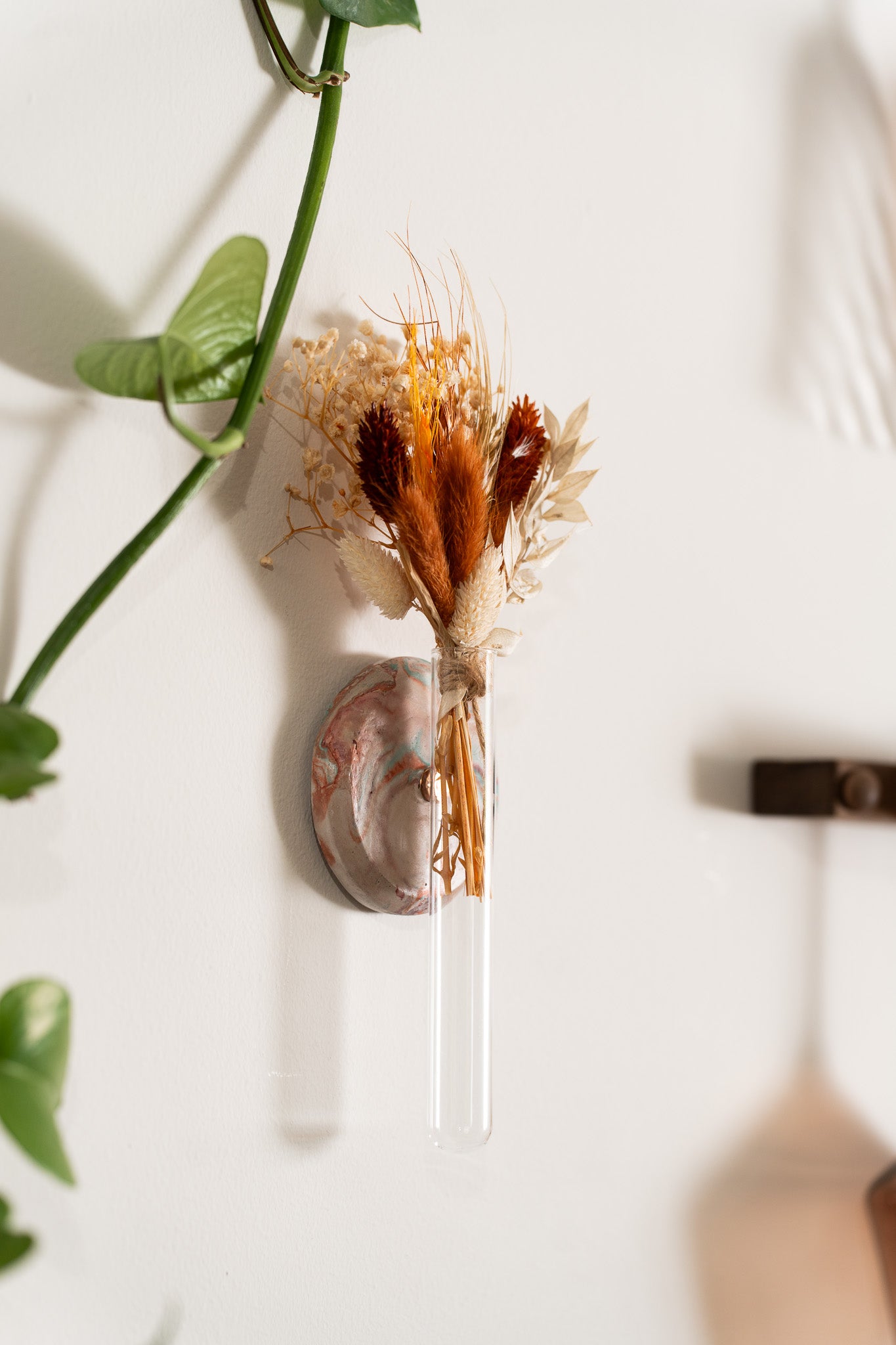 Propagation Station | Fall Specialty Marble