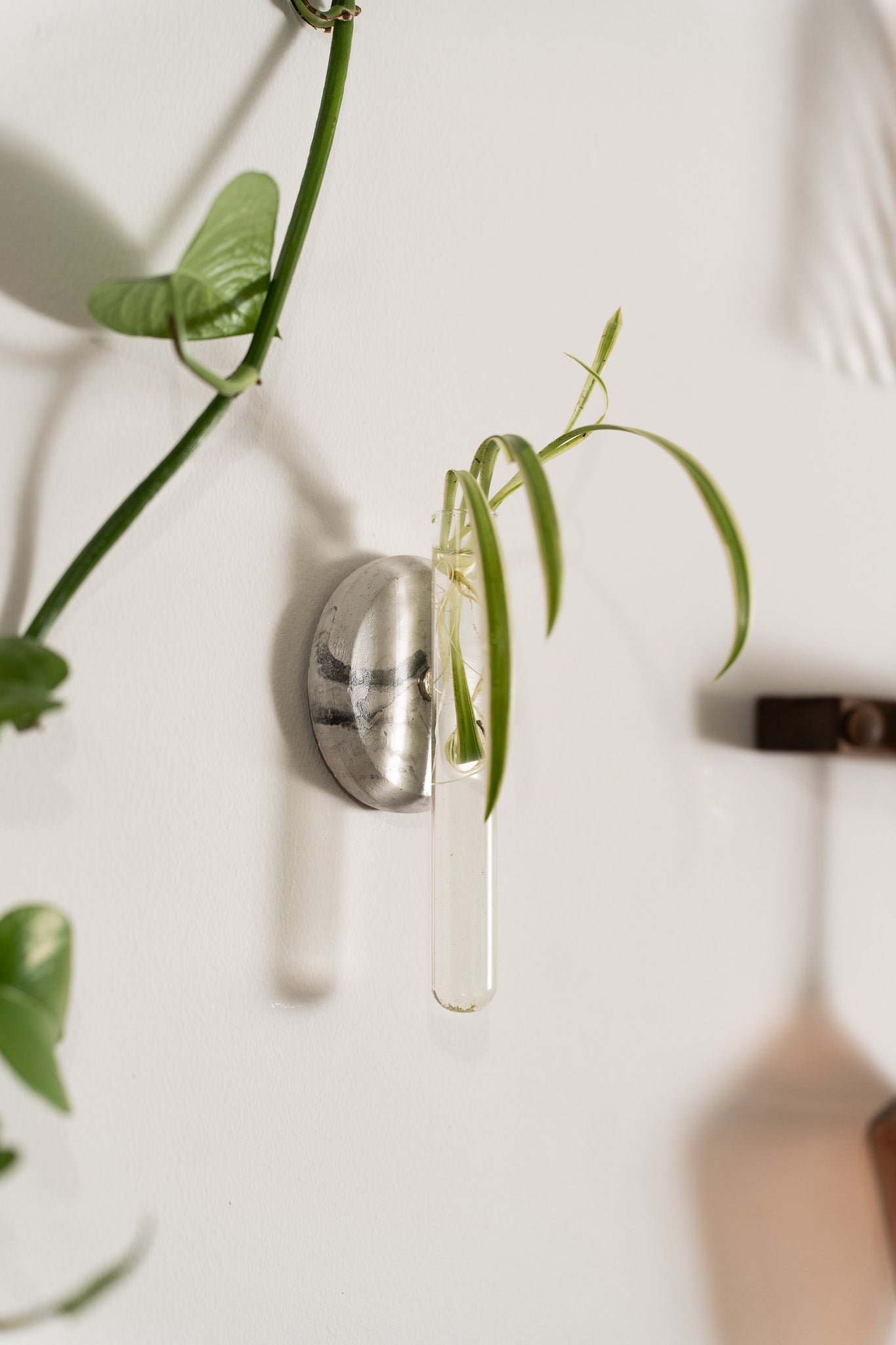 Propagation Station | Standard Marble