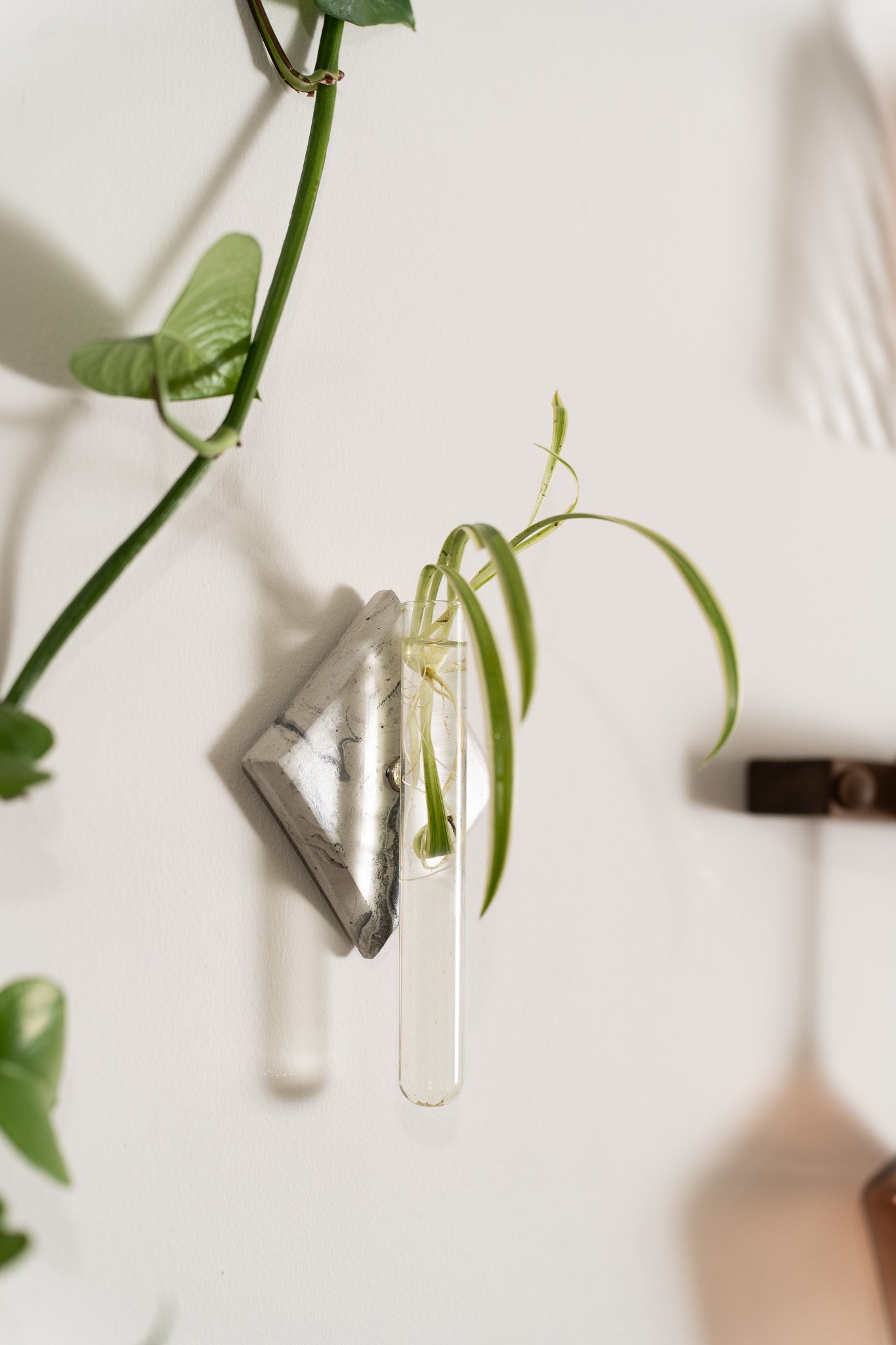 Propagation Station | Standard Marble