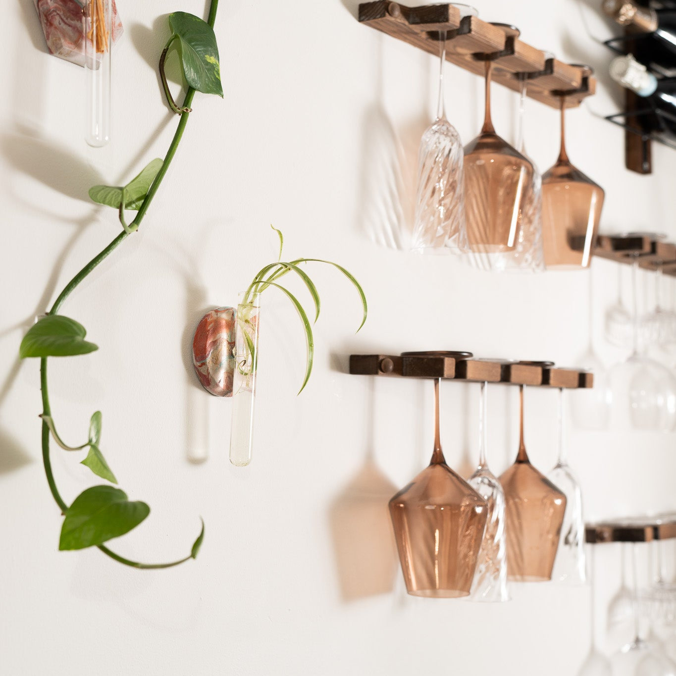 Wall-mounted propagation station wall decor with a plant in the background